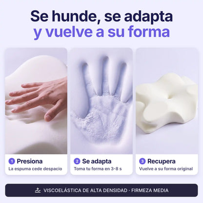 packalmohadamariposa
